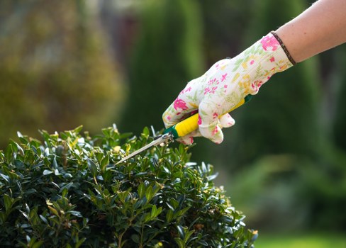Gardening services in Crossness for well-kept residential gardens
