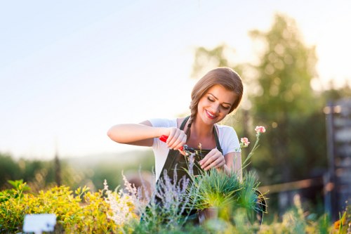 Crossness outdoor space maintenance with clean pathways and shaped shrubs