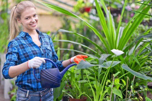 Healthy lawn care in Crossness with neatly cut green grass