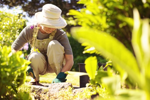 Garden waste collection pricing in Crossness with transparent rates