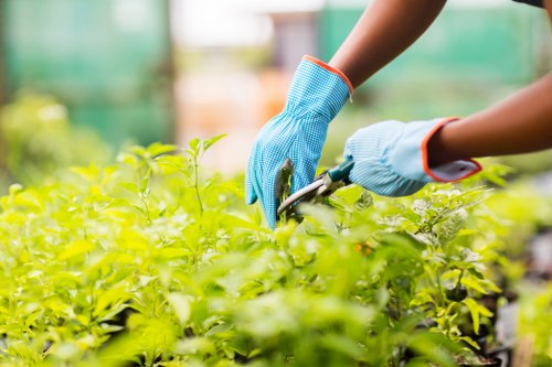 Regular review of health and safety standards in gardening