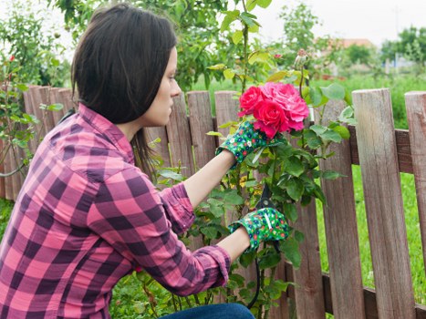 Load-based gardeners quote example for a home in Crossness