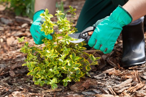 Professional gardening support in Crossness for tidy gardens