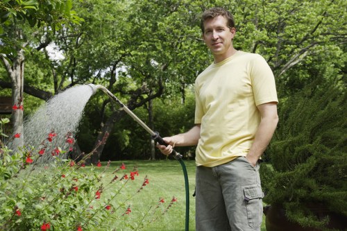 Professional lawn care in Crossness for moss and weed control