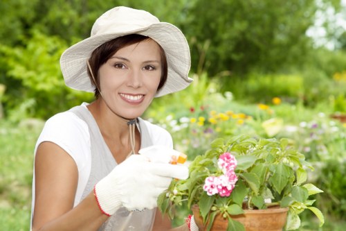 Seasonal planting ideas for landscape gardening in Crossness