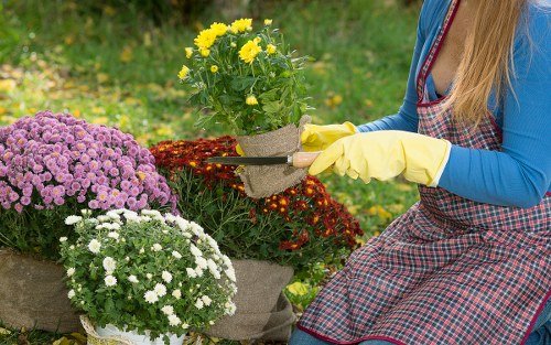 Protected Gardeners Crossness checkout with SSL and compliant processing