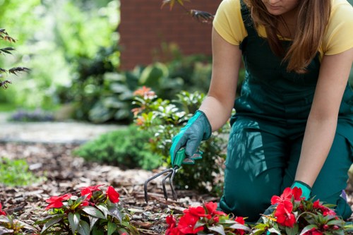 Seasonal hedge cutting and shaping in Crossness outdoor space