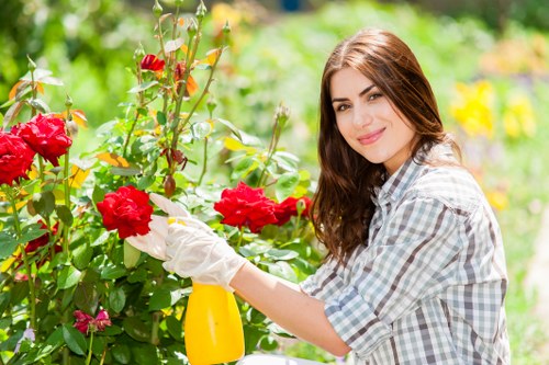 Responsible garden waste removal in Crossness