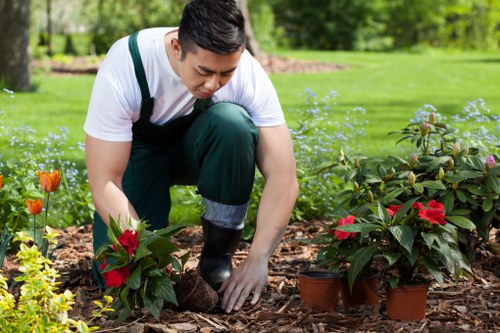 Local hedge trimming service working on tall garden hedges in Crossness