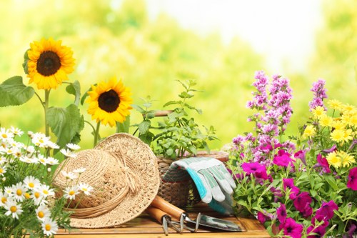 Professional garden care in Crossness for healthy lawns and plants