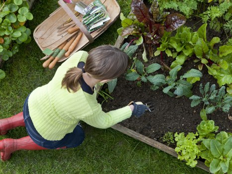 Garden clearance and planting services for Crossness properties