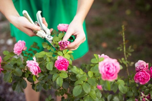 Charity reuse partnerships supporting sustainable recycling