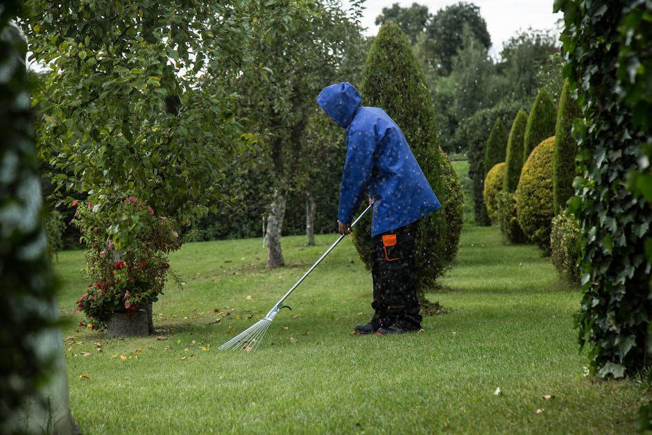 A person wearing a blue waterproof jacket with the hood up and black trousers is engaged in garden maintenance, using a rake to clear fallen leaves or debris from a well-manicured lawn. The garden fea